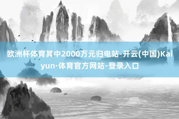 欧洲杯体育其中2000万元归电站-开云(中国)Kaiyun·体育官方网站-登录入口