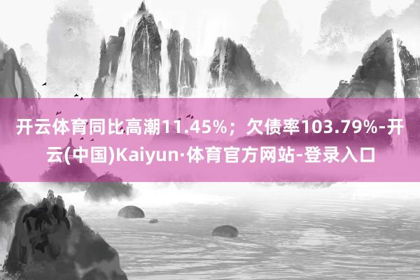 开云体育同比高潮11.45%；欠债率103.79%-开云(中国)Kaiyun·体育官方网站-登录入口