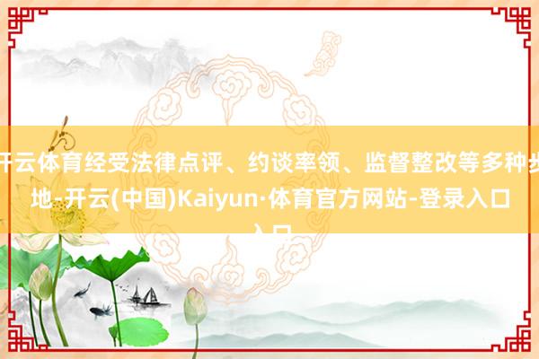 开云体育经受法律点评、约谈率领、监督整改等多种步地-开云(中国)Kaiyun·体育官方网站-登录入口