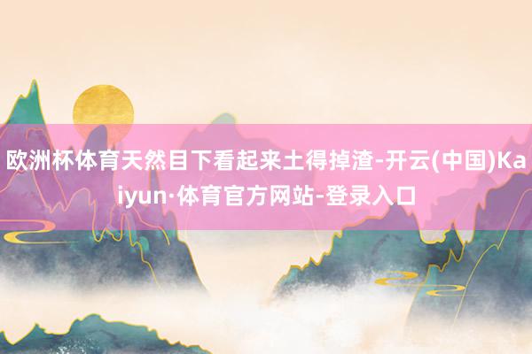 欧洲杯体育天然目下看起来土得掉渣-开云(中国)Kaiyun·体育官方网站-登录入口