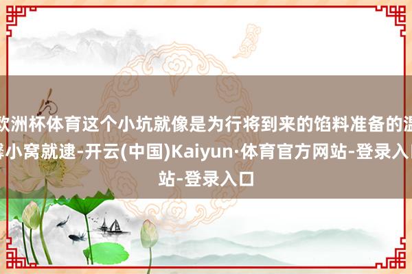 欧洲杯体育这个小坑就像是为行将到来的馅料准备的温馨小窝就逮-开云(中国)Kaiyun·体育官方网站-登录入口