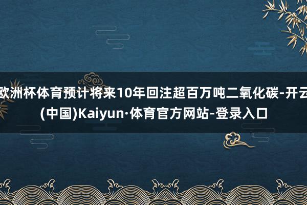 欧洲杯体育预计将来10年回注超百万吨二氧化碳-开云(中国)Kaiyun·体育官方网站-登录入口