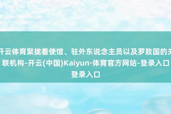 开云体育聚拢着使馆、驻外东说念主员以及罗致国的关联机构-开云(中国)Kaiyun·体育官方网站-登录入口