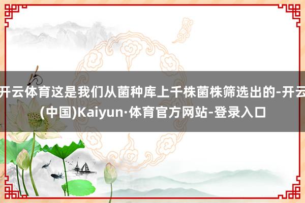 开云体育这是我们从菌种库上千株菌株筛选出的-开云(中国)Kaiyun·体育官方网站-登录入口
