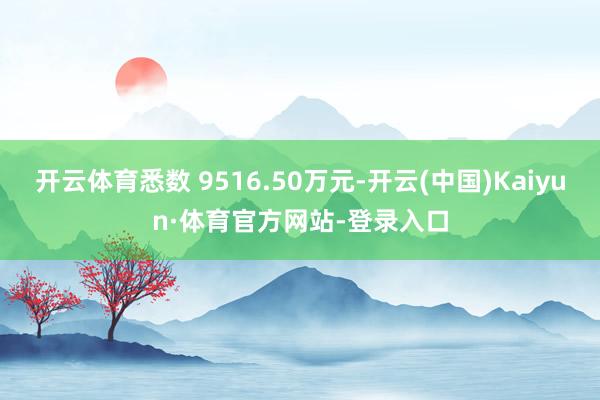 开云体育悉数 9516.50万元-开云(中国)Kaiyun·体育官方网站-登录入口