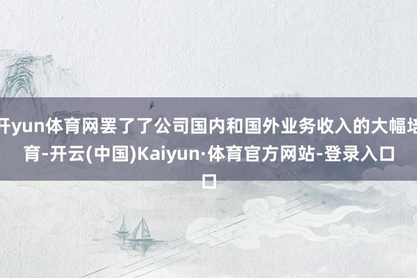 开yun体育网罢了了公司国内和国外业务收入的大幅培育-开云(中国)Kaiyun·体育官方网站-登录入口