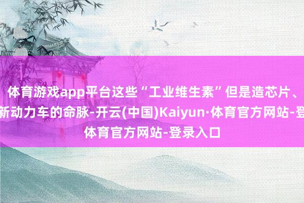 体育游戏app平台这些“工业维生素”但是造芯片、导弹和新动力车的命脉-开云(中国)Kaiyun·体育官方网站-登录入口