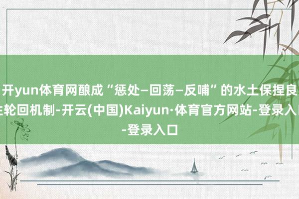 开yun体育网酿成“惩处—回荡—反哺”的水土保捏良性轮回机制-开云(中国)Kaiyun·体育官方网站-登录入口