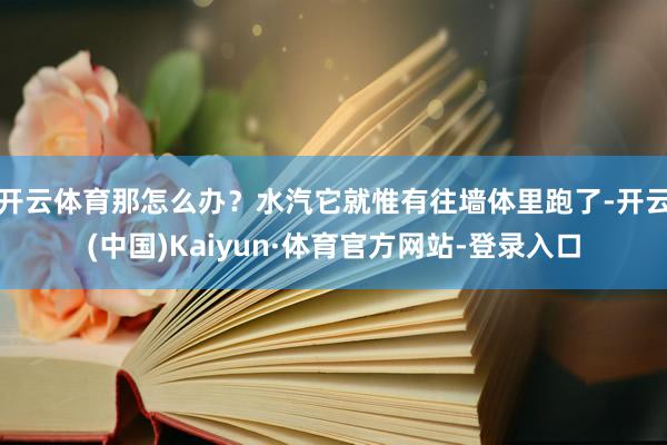 开云体育那怎么办？水汽它就惟有往墙体里跑了-开云(中国)Kaiyun·体育官方网站-登录入口